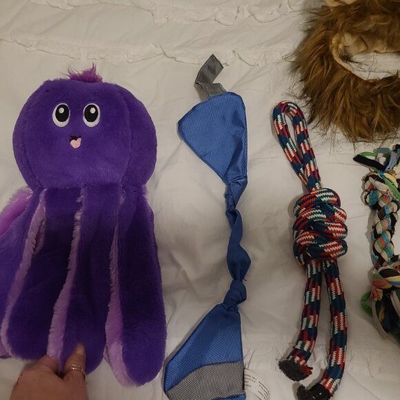 Dog Bundle - Picture 2 of 7